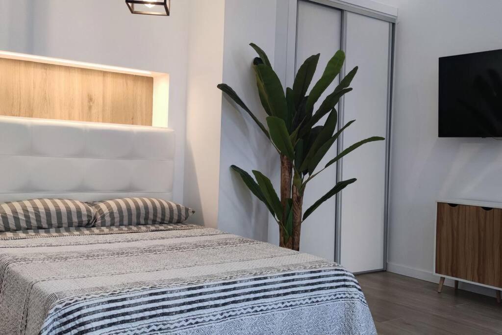 Estudio Diseno Cerca Ciudad Ciencias Vt-55211-V Βαλένθια Εξωτερικό φωτογραφία
